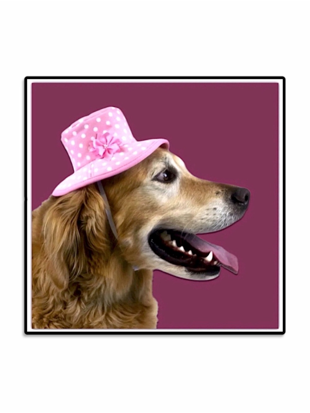 Vibrant Life Dog Bucket Hat Pink Polka Dots